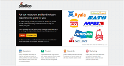 Desktop Screenshot of pindico.com